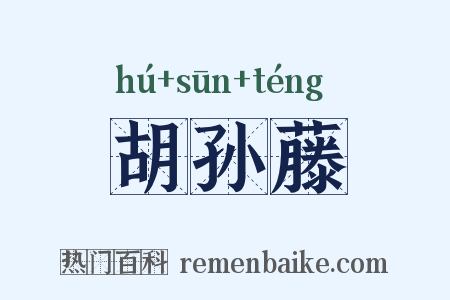 胡孙藤是什么意思的图片